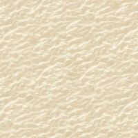 ttBEACH-C8395 NATURAL